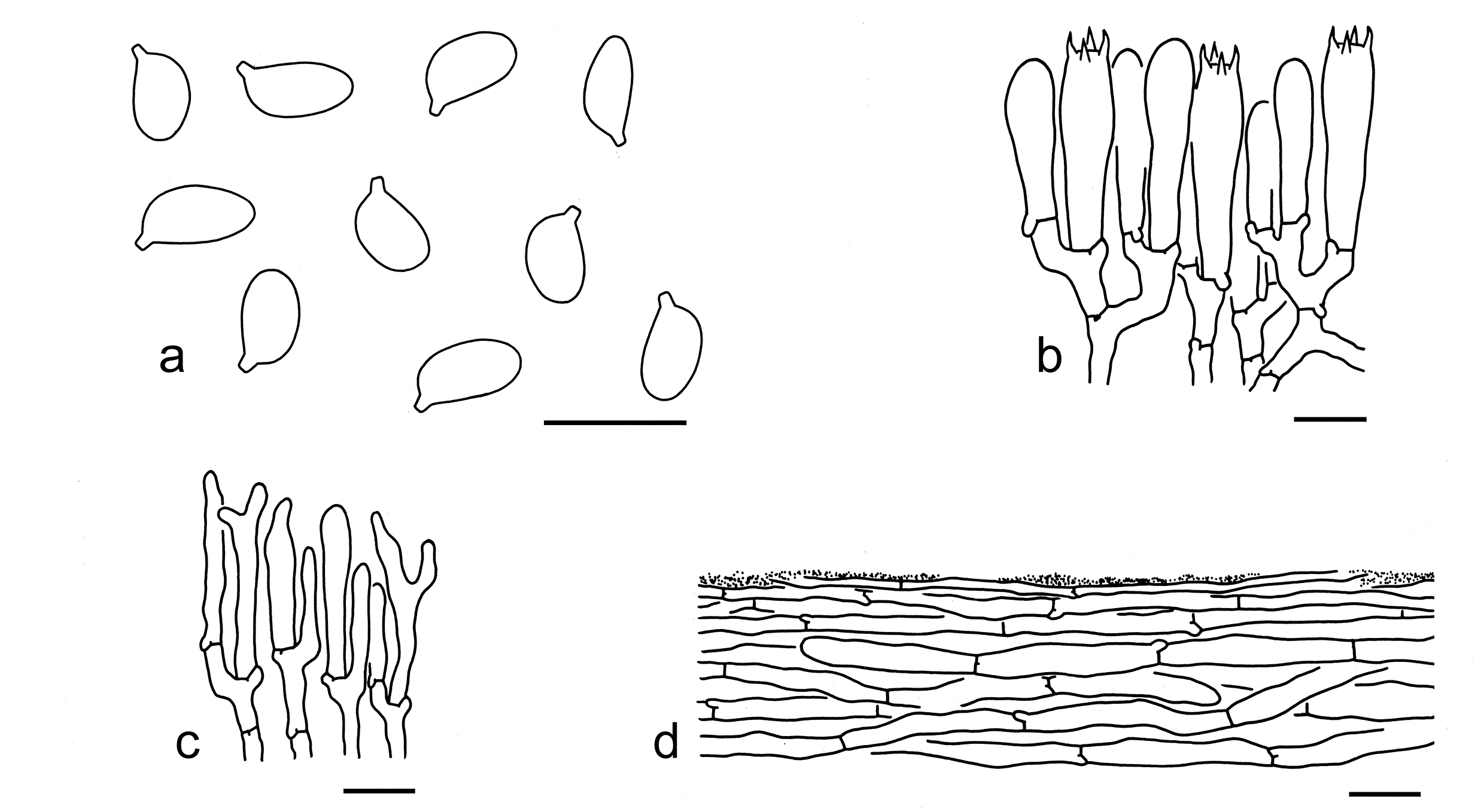 Figure 75
